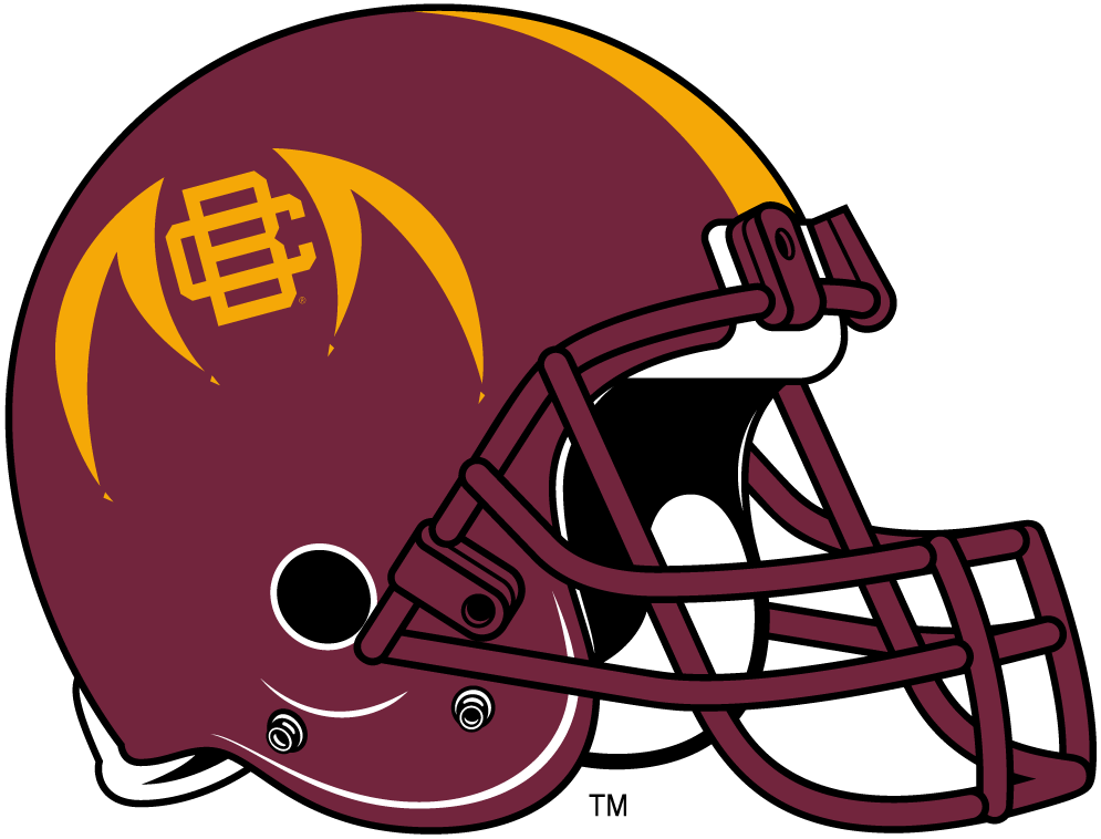 Bethune-Cookman Wildcats 2010-2015 Helmet Logo v2 iron on transfers for clothing
